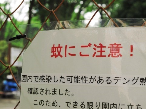 吊るす虫除け吸血蚊には効果なし 節約のまとめ